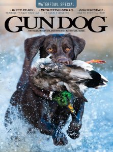 Gun Dog